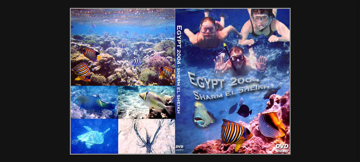 2004 DVD Egypt
