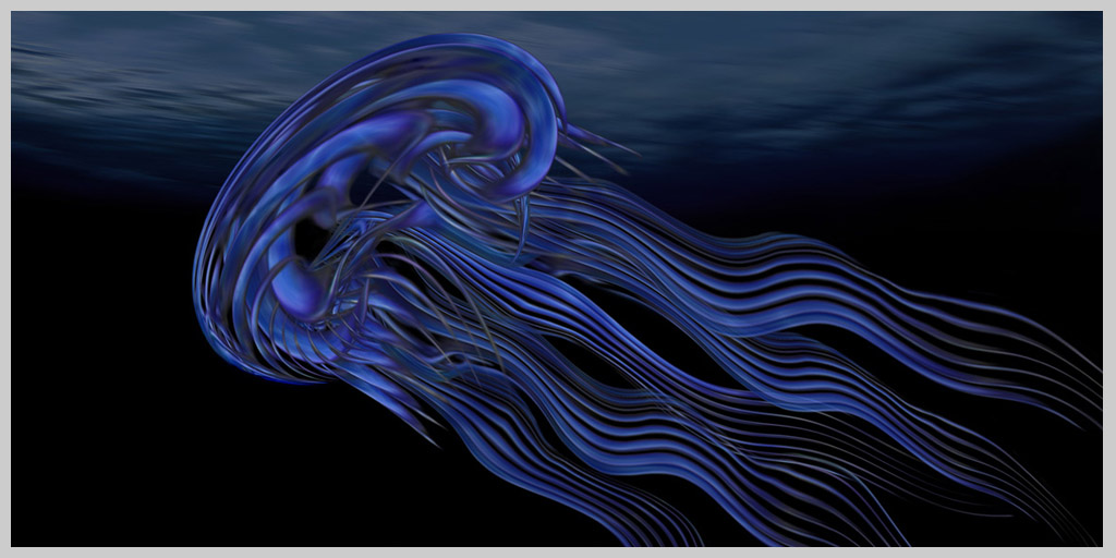 040 Jellyfish